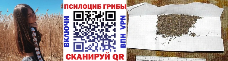 Купить где  Кондопога  Псилоцибиновые грибы мухоморы 