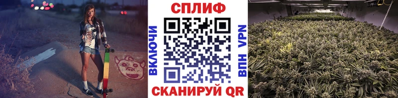 Купить закладки  Кондопога  Бошки марихуана MAZAR 